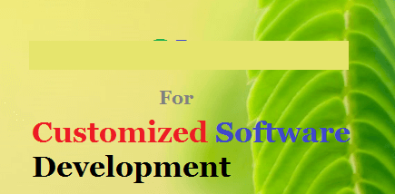 Software Company for Customized Software Development