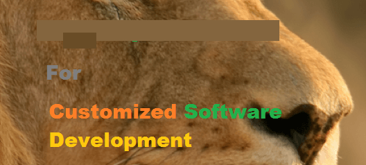 Software Developers for Customized Software Development