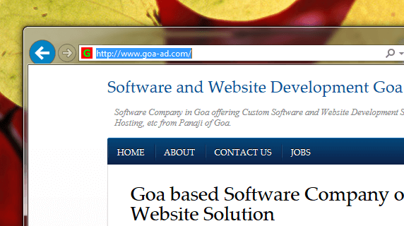 Website Design Goa